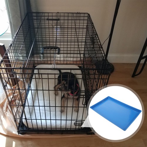 Puppy toilet training - puppy, tray